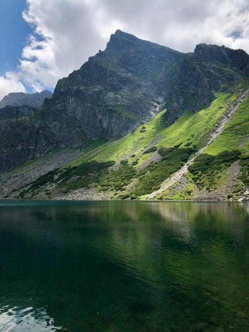 Gratis lagerfoto af græs, hældning, himmel