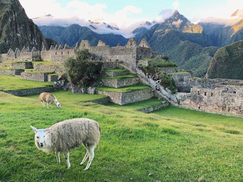 Ingyenes stockfotó aztec, hegyek, helyi nevezetességek témában