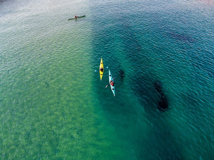 Kayakers Paddling On Open Seas