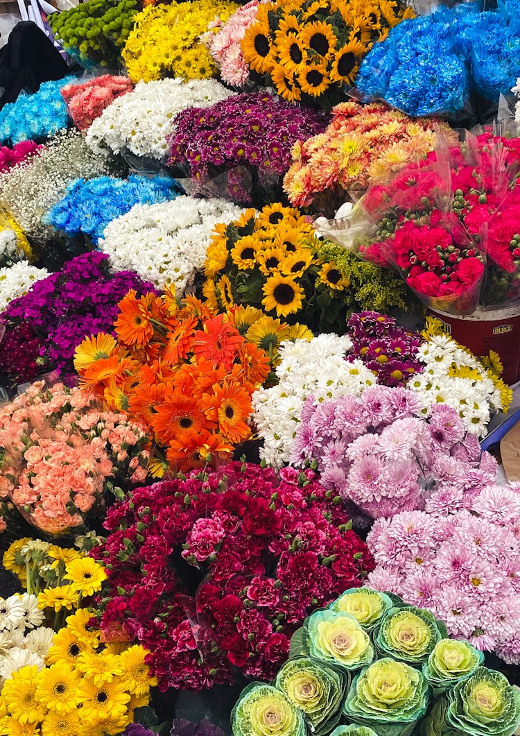 Different Kinds Of Blooming Flowers