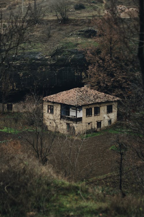 Imagine de stoc gratuită din abandonat, arbori, cămin