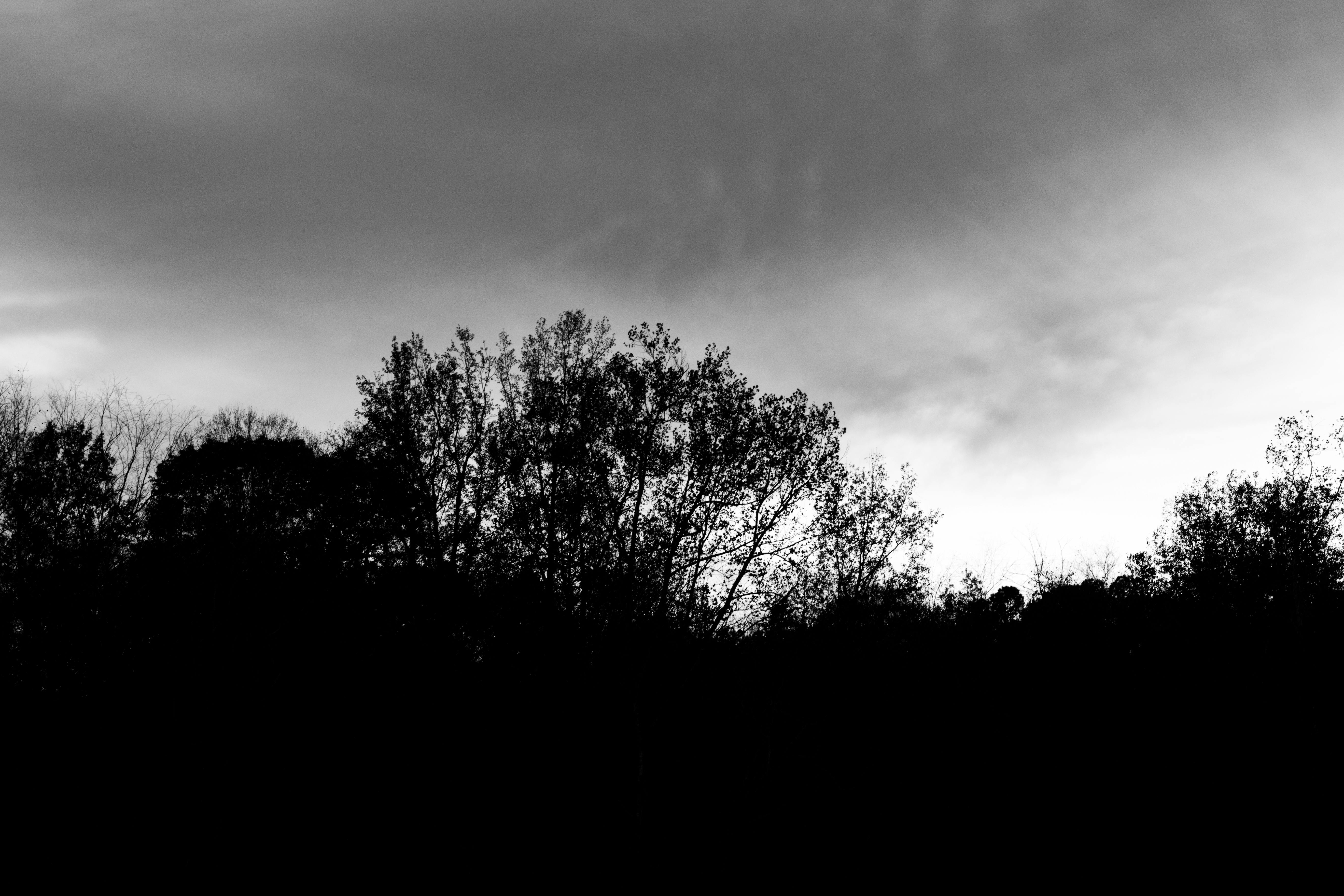 Electric Cars: The Complete Guide