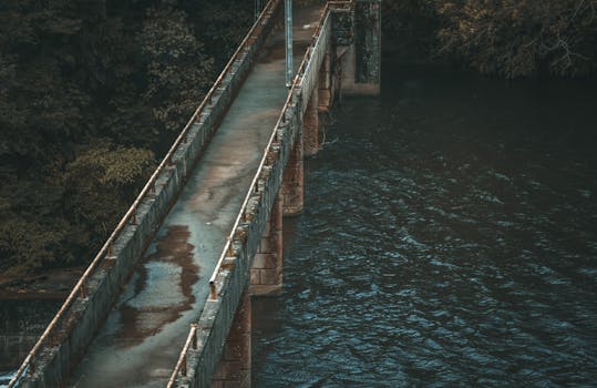 一座古老的混凝土桥横跨在平静的河面上，四周环绕着郁郁葱葱的树木