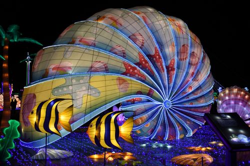 Free Colorful illuminated marine display featuring fish and shells at a night carnival. Stock Photo