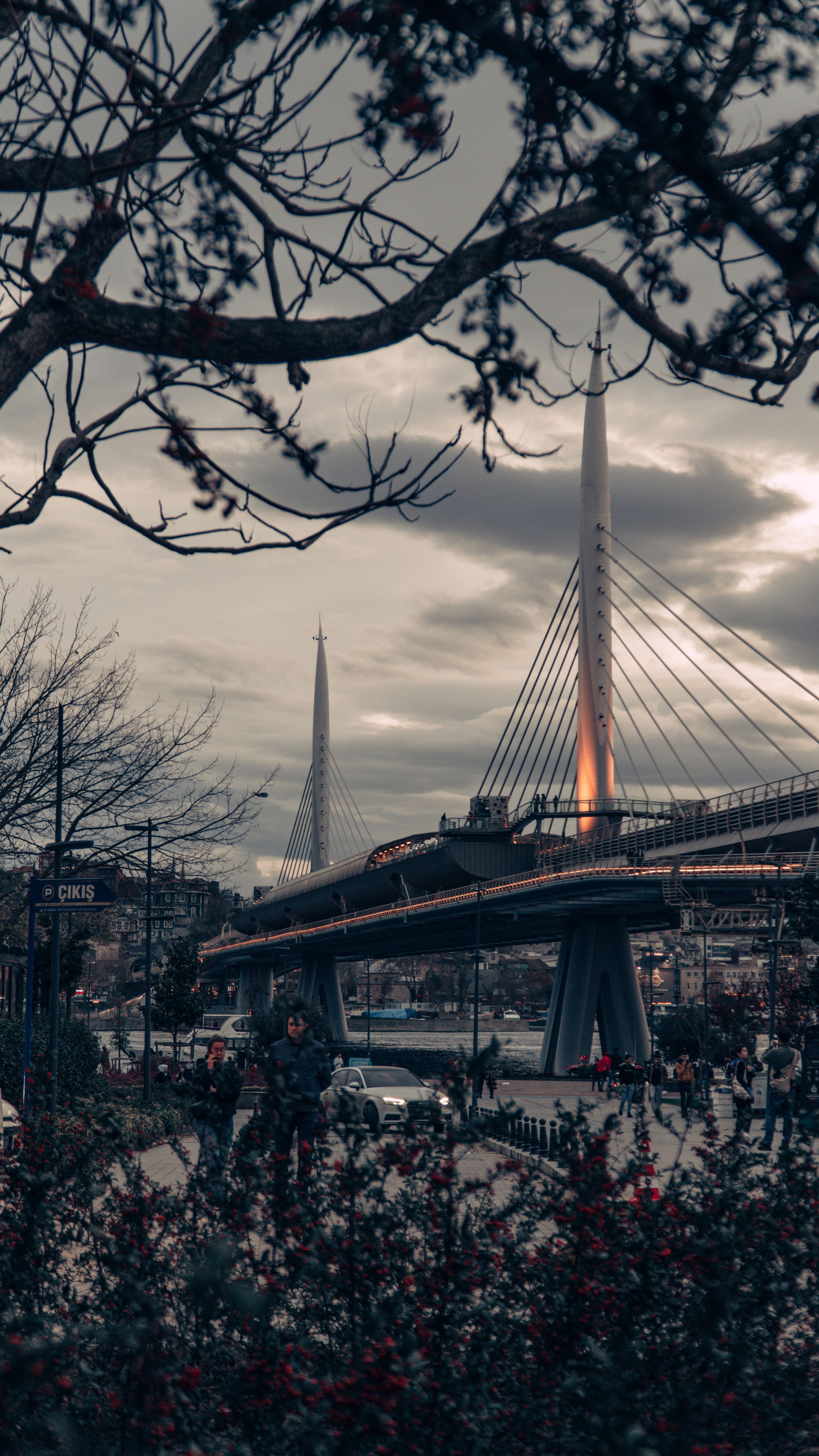 Suspension Bridge in City · Free Stock Photo