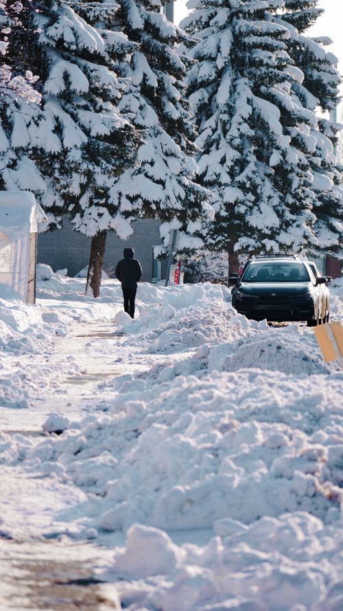 Free A person walks along a snowy path next to a parked car under heavily snow-laden trees. Stock Photo