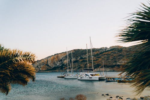 Clear Sky over Shore with Moored Motor Yachts