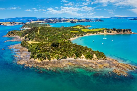 Waiheke Island wine ferry day — Auckland