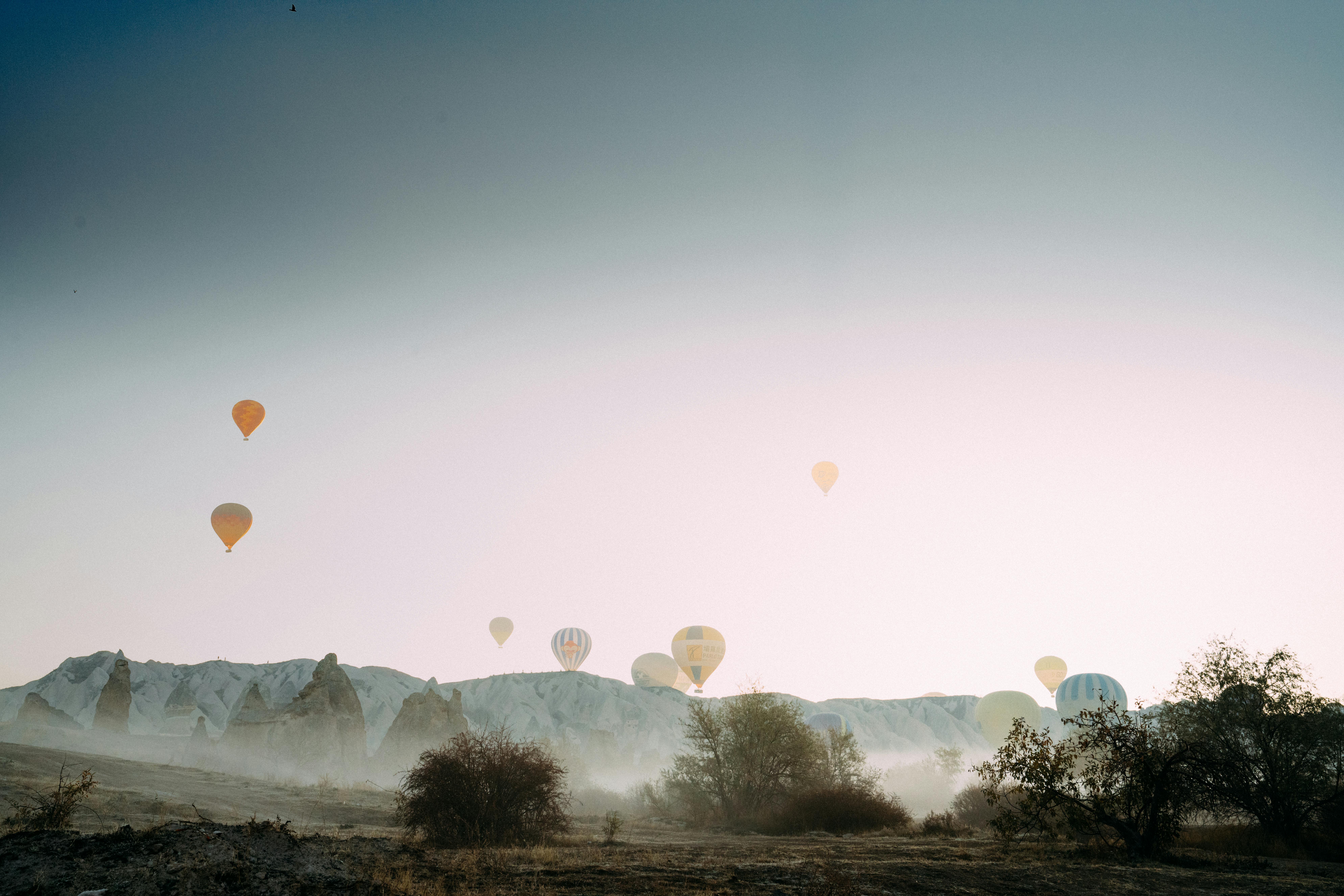 Mid-Week Reverence: Wednesday Morning Blessings