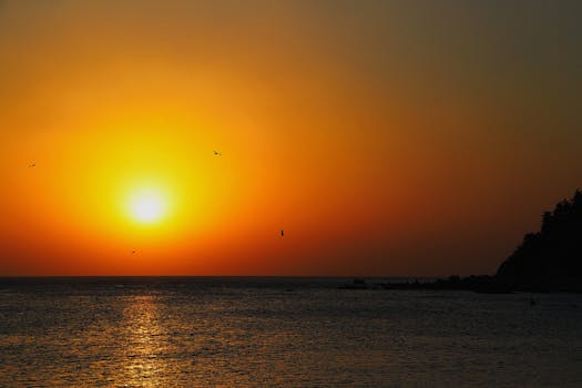 A stunning sunset over the ocean with silhouetted birds and warm colors in the sky.