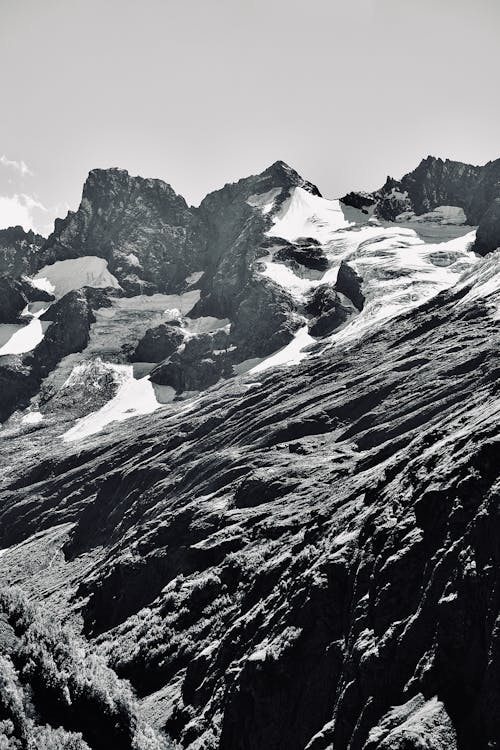 Fotos de stock gratuitas de blanco y negro, cubierto de nieve, escala de grises