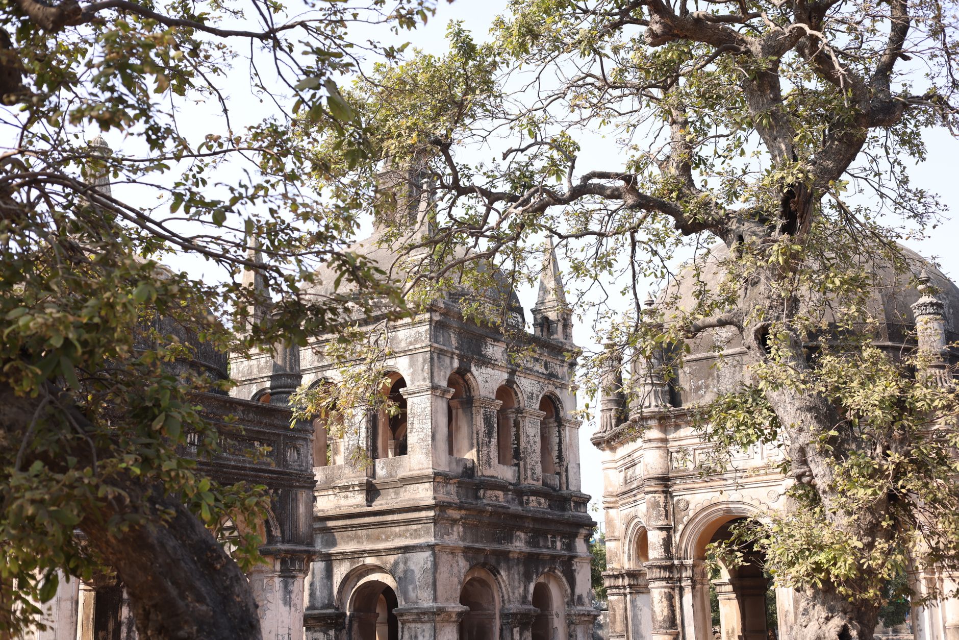Ancient architecture nestled among trees in Surat's urban landscape.