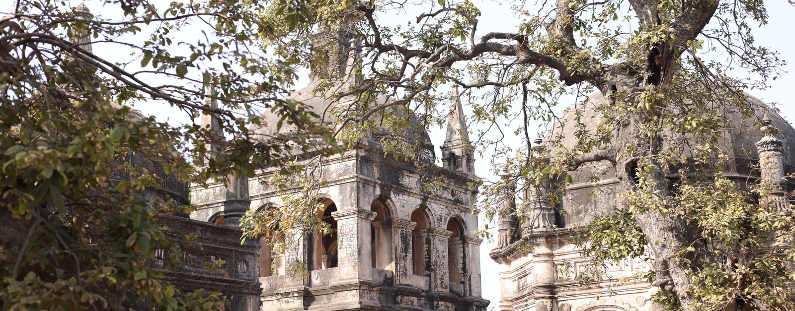 Ancient architecture nestled among trees in Surat's urban landscape.