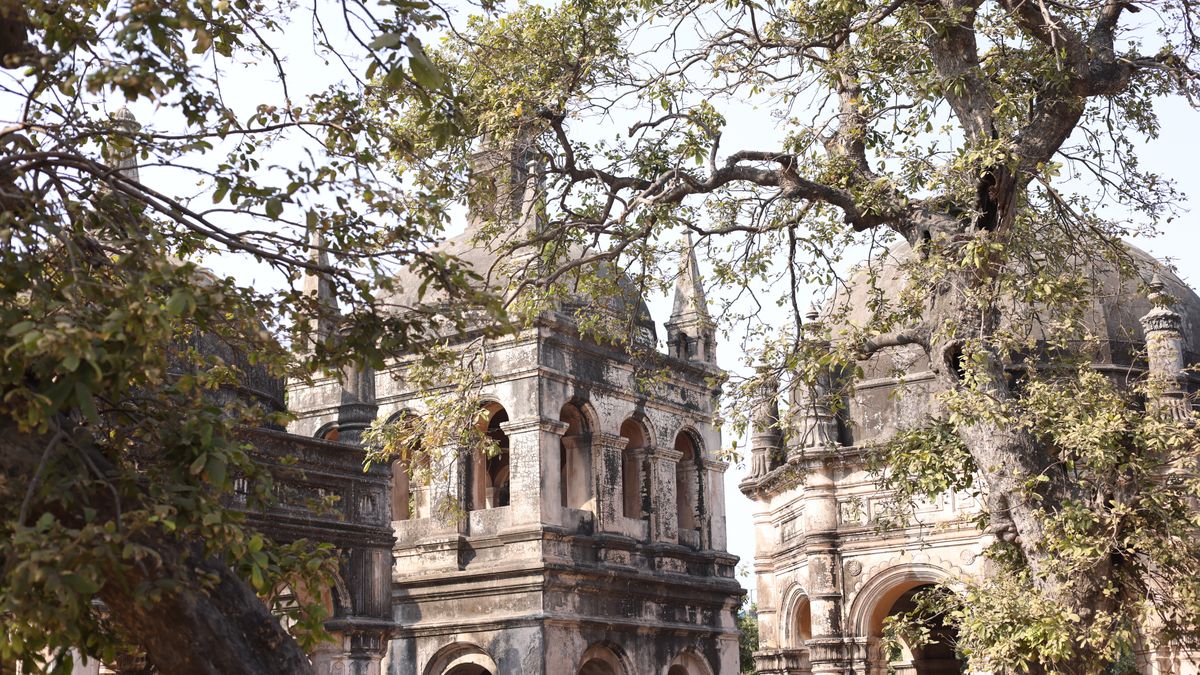 Ancient architecture nestled among trees in Surat's urban landscape.
