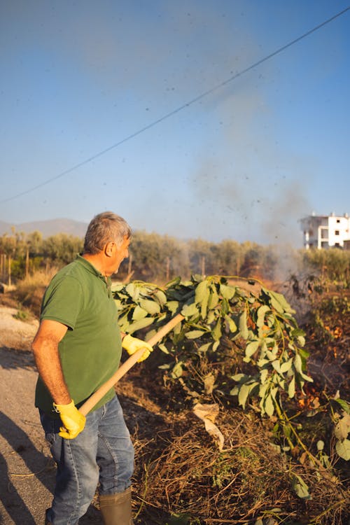 Man Burning Leaves