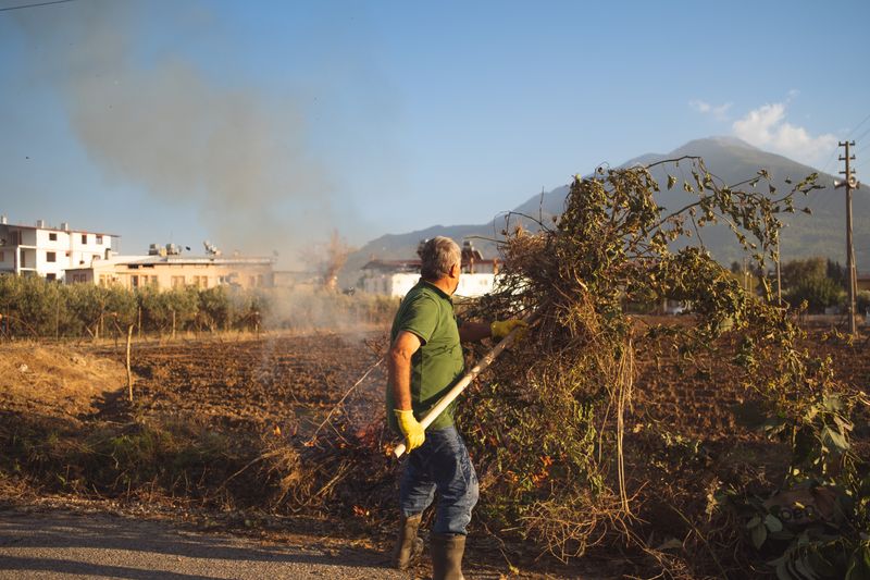 Trabalhador a gerir material vegetal cortado em terreno rural com montanhas ao fundo