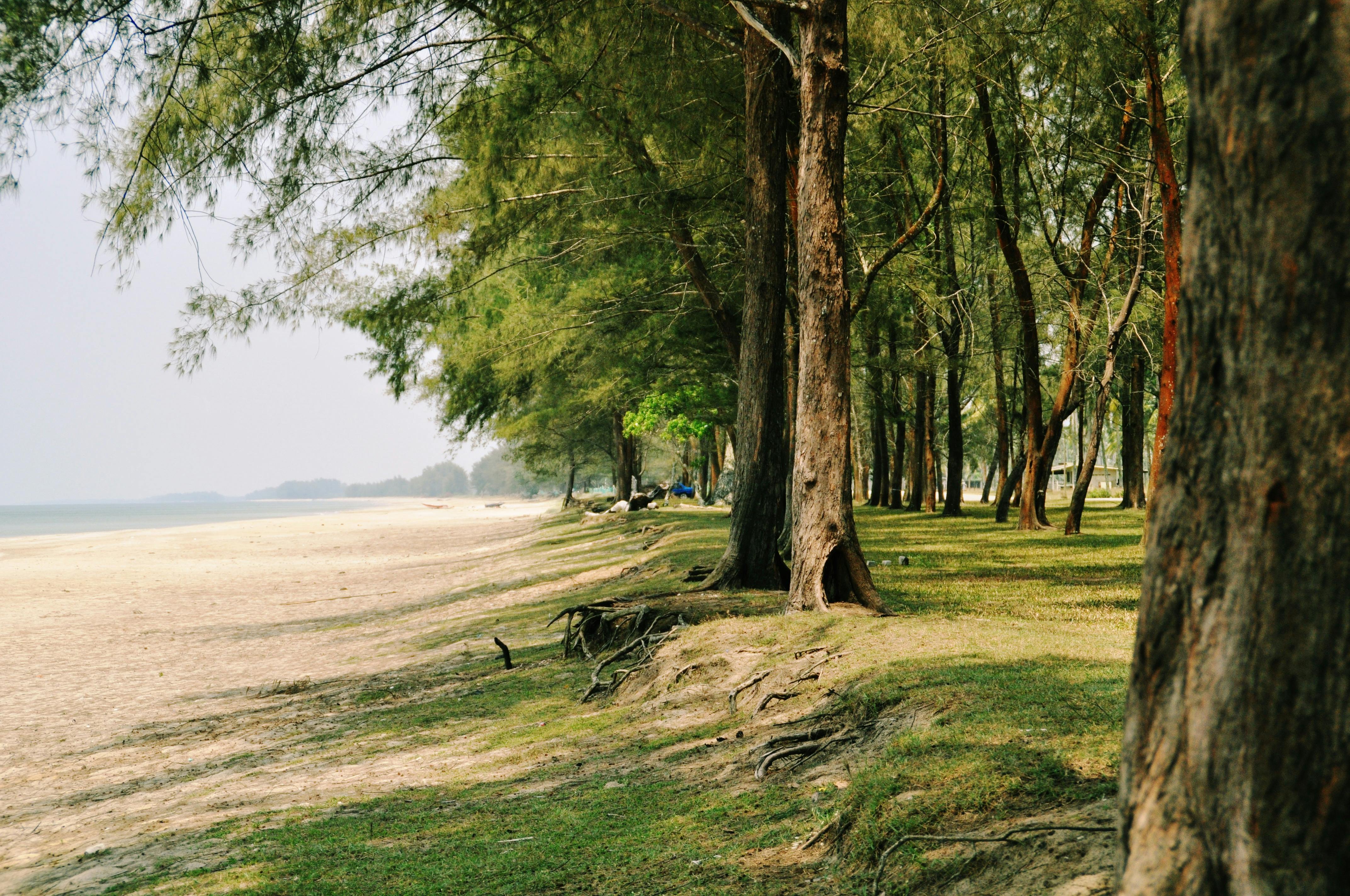 Pantai Drini, aktivitas wisata