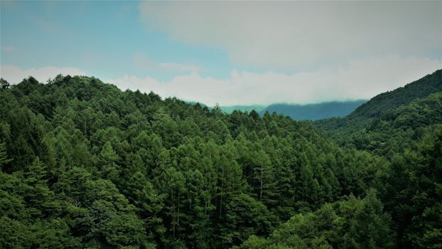 Scenic vista of dense green forests in Ueda, Nagano, Japan, under cloudy skies.