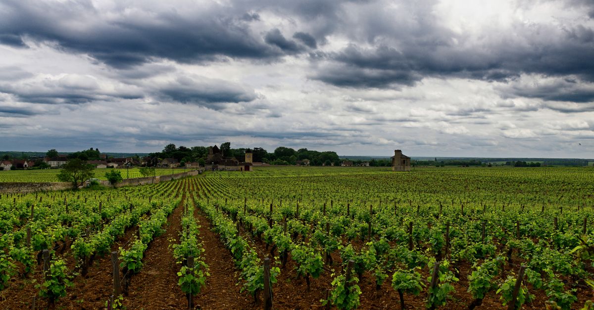 Les Éco-Destinations en France à Explorer Pour Vos Vacances