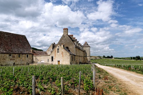 Foto d'estoc gratuïta de agricultura, camí de carro, camp