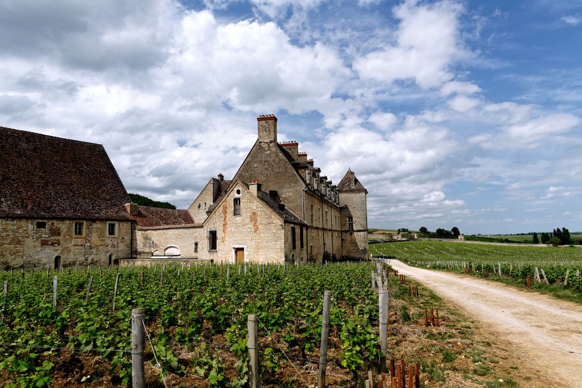 Château du Clos de Vougeot rising from its sea of vines