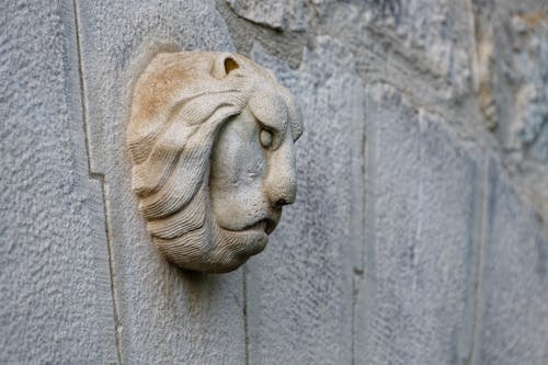 Close-up of a Lion Head Decoration on a Building Facade 