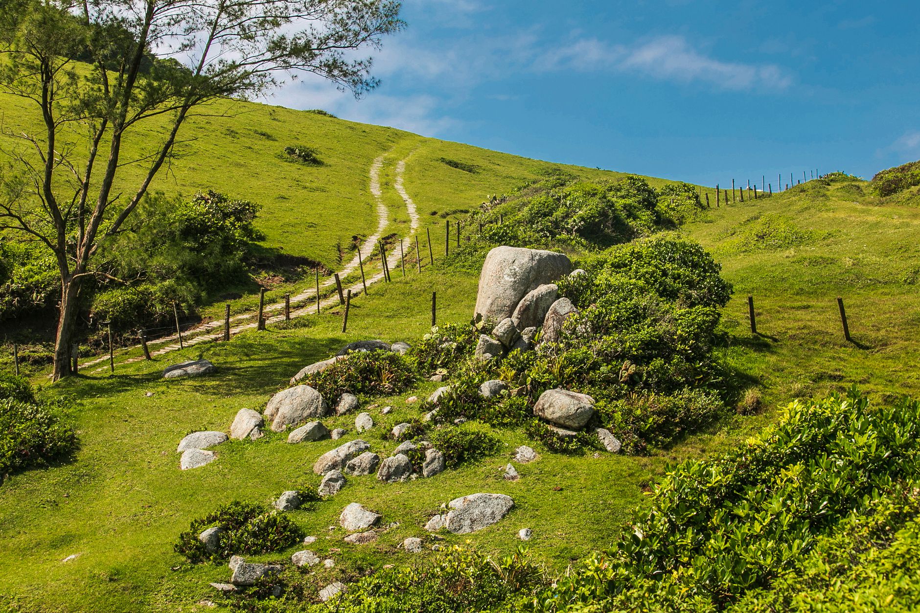 Idyllic green hillside with rock formations and a winding trail under a clear blue sky.