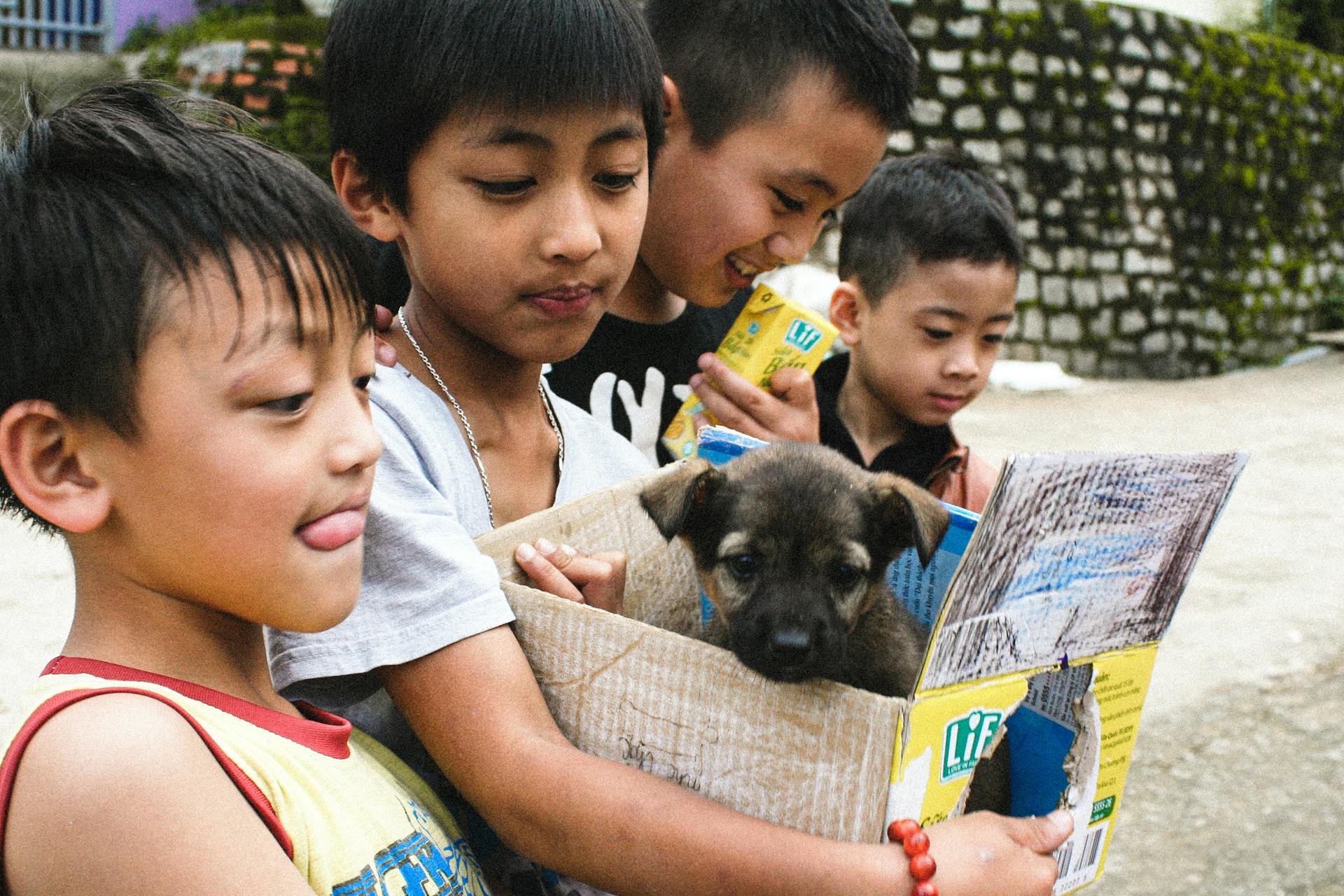 Group of Boys Taking Care of a Cute Puppy