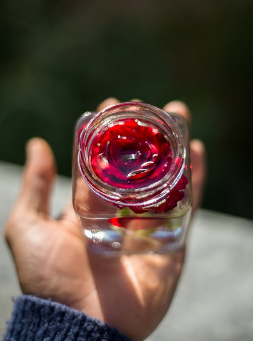 Foto profissional grátis de fechar-se, flor, frasco de vidro