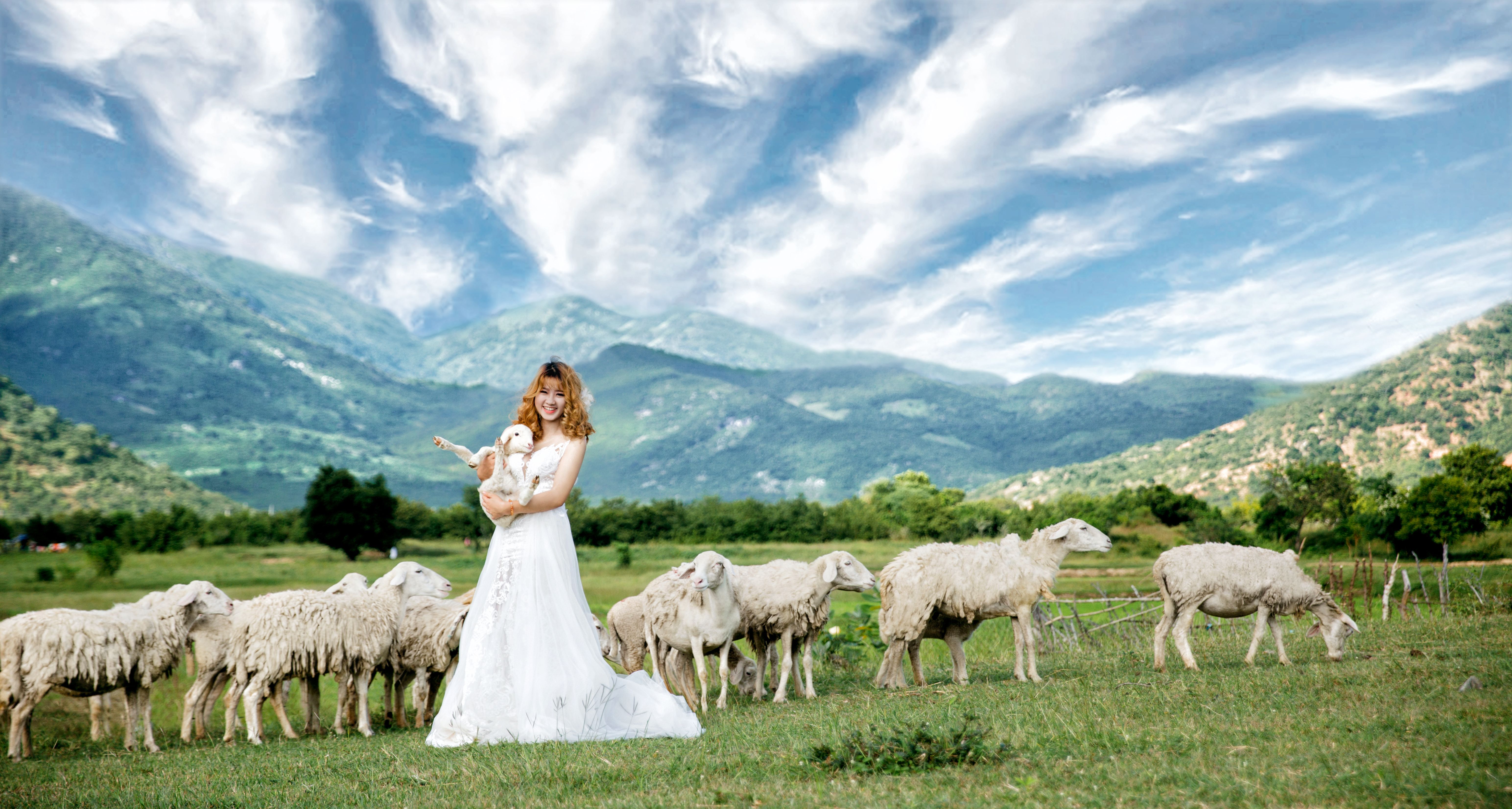 A woman in a wedding dress holds a lamb surrounded by sheep in a picturesque rural setting.