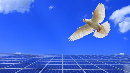 Clean Energy Bring Peace