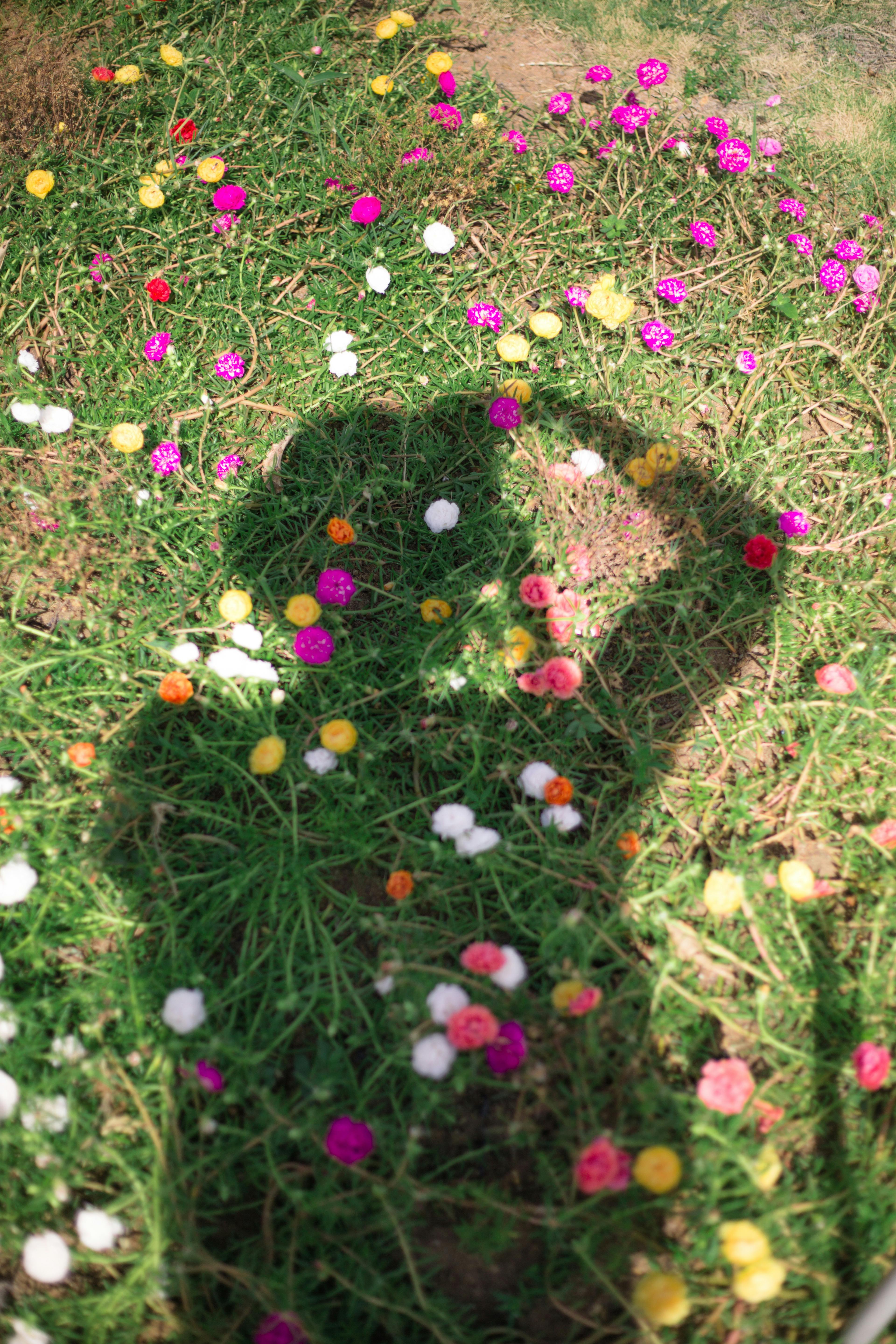 What is the most natural painkiller?