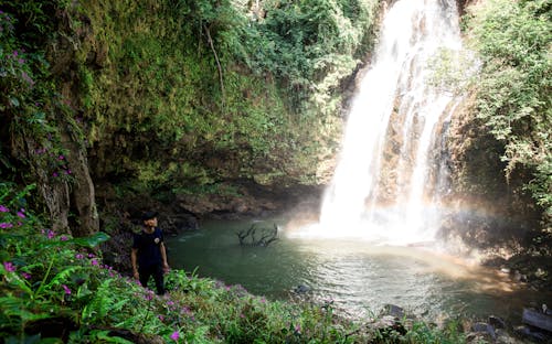 Man Standing near Waterfalls
