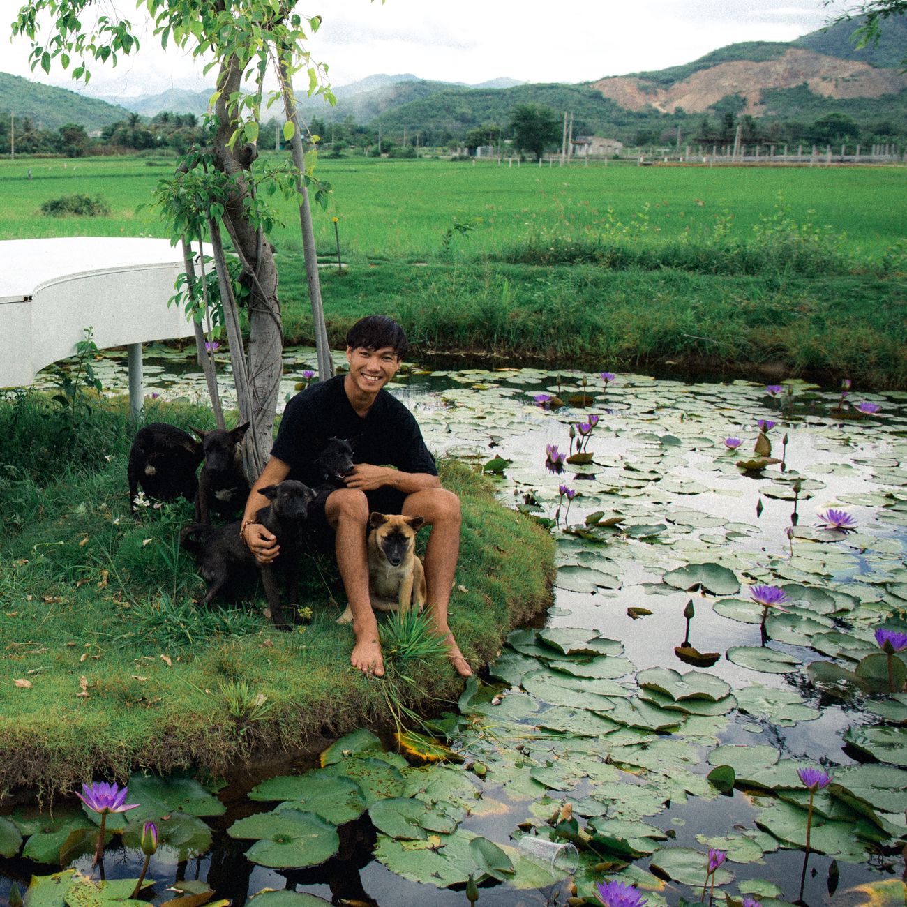 Smiling young man sitting by a pond with dogs and blooming lotus flowers, enjoying a summer day.