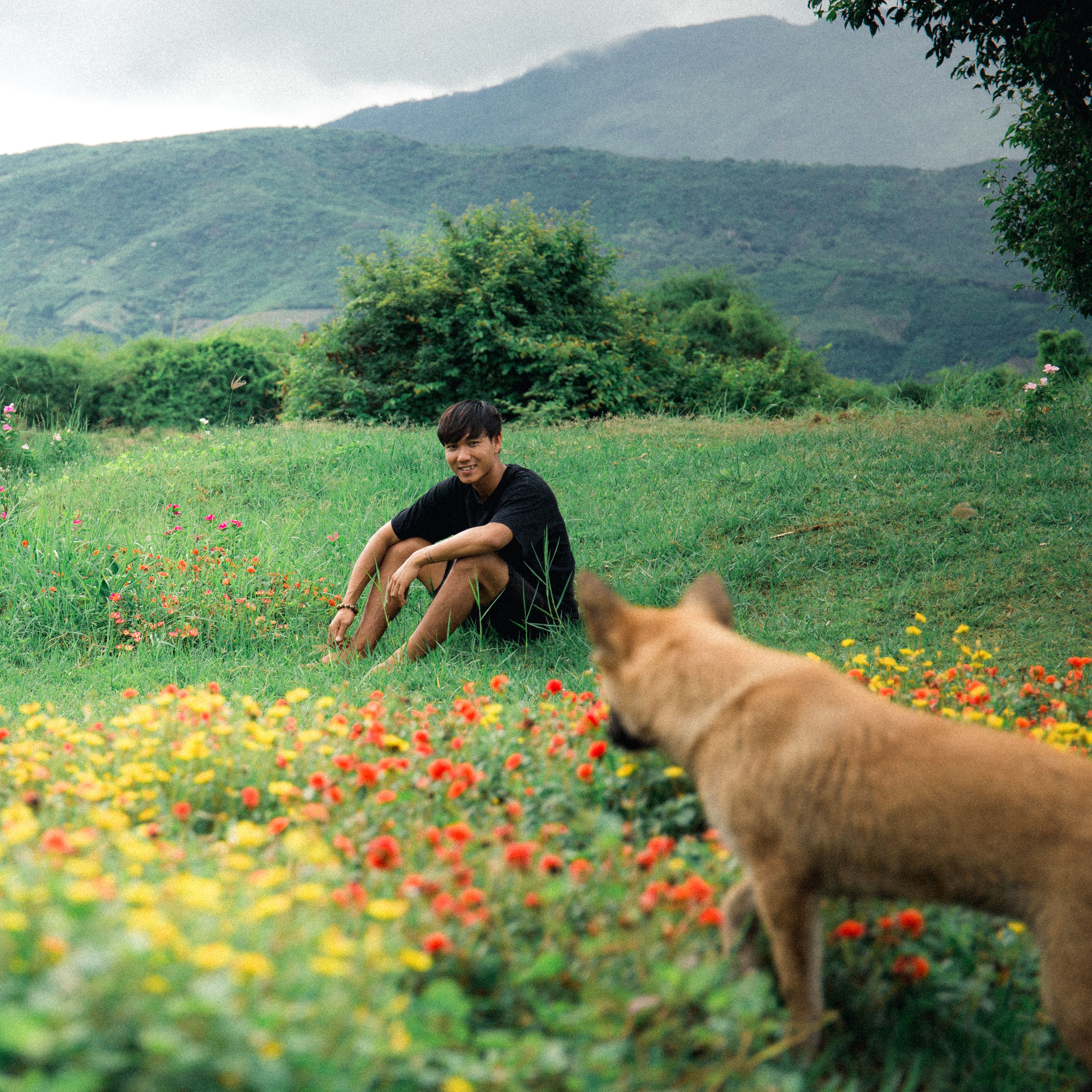 A man sitting in a vibrant meadow with a dog, surrounded by lush mountains, capturing a peaceful outdoor scene.