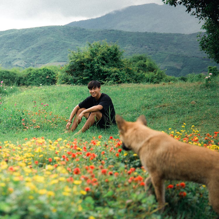 A Man Sitting In A Meadow