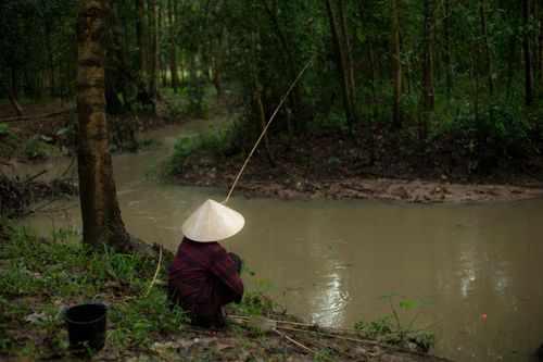 Free Person with conical hat fishing by a forest creek, creating a serene natural scene. Stock Photo