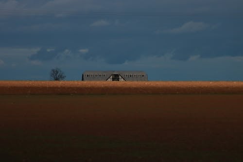 Grey Roof Visible behind Wheat Field