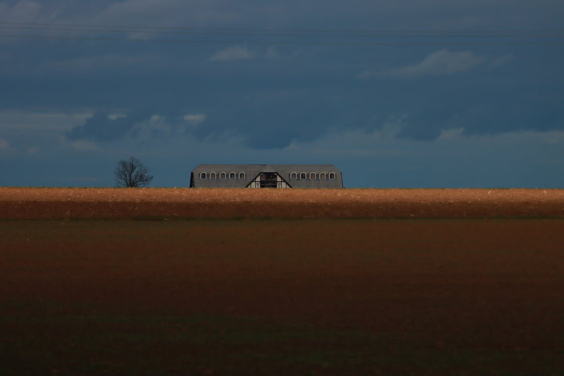Grey Roof Visible behind Wheat Field