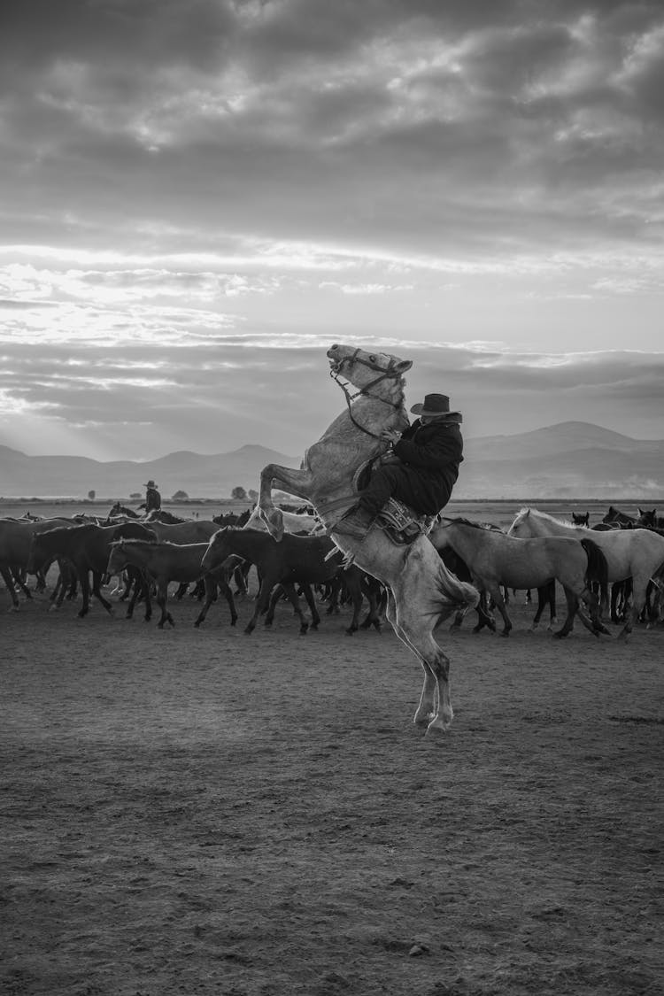 Black And White Photo Of Man Riding Rearing Horse