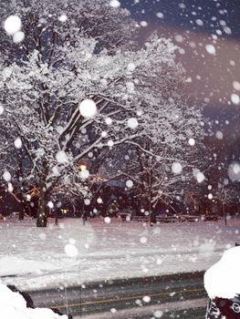 Snowfall in a Montréal park with illuminated trees under streetlights on a winter night.