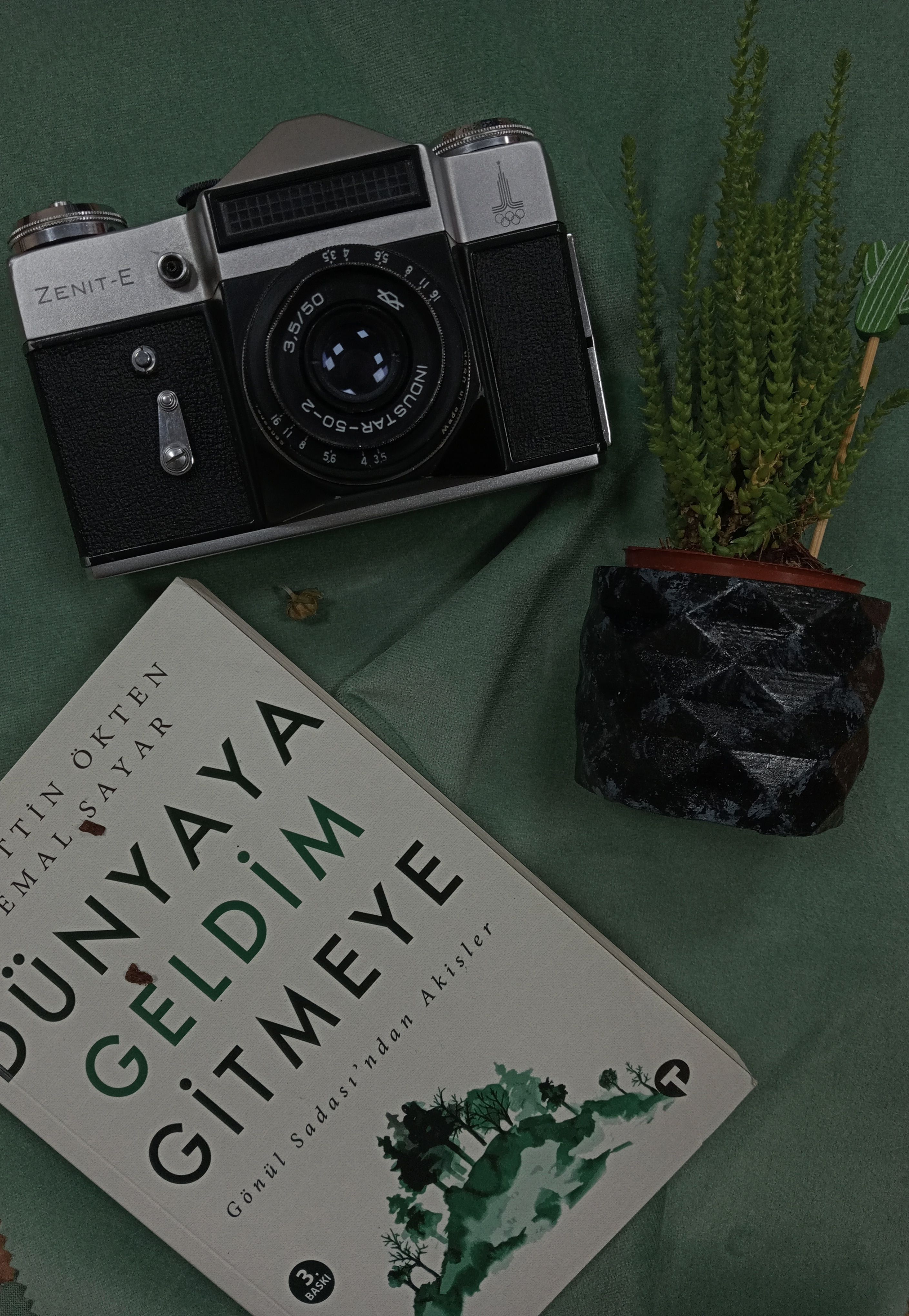 A flat-lay of a vintage camera, book, and succulent on a green background.