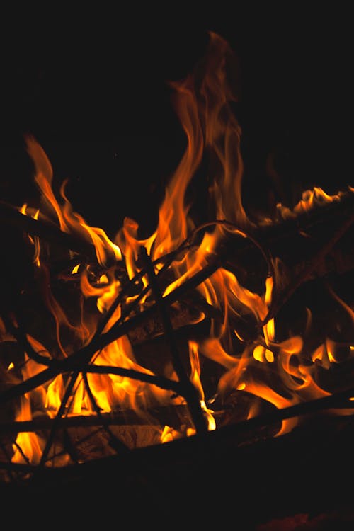 Foto profissional grátis de ardente, calor, chamas