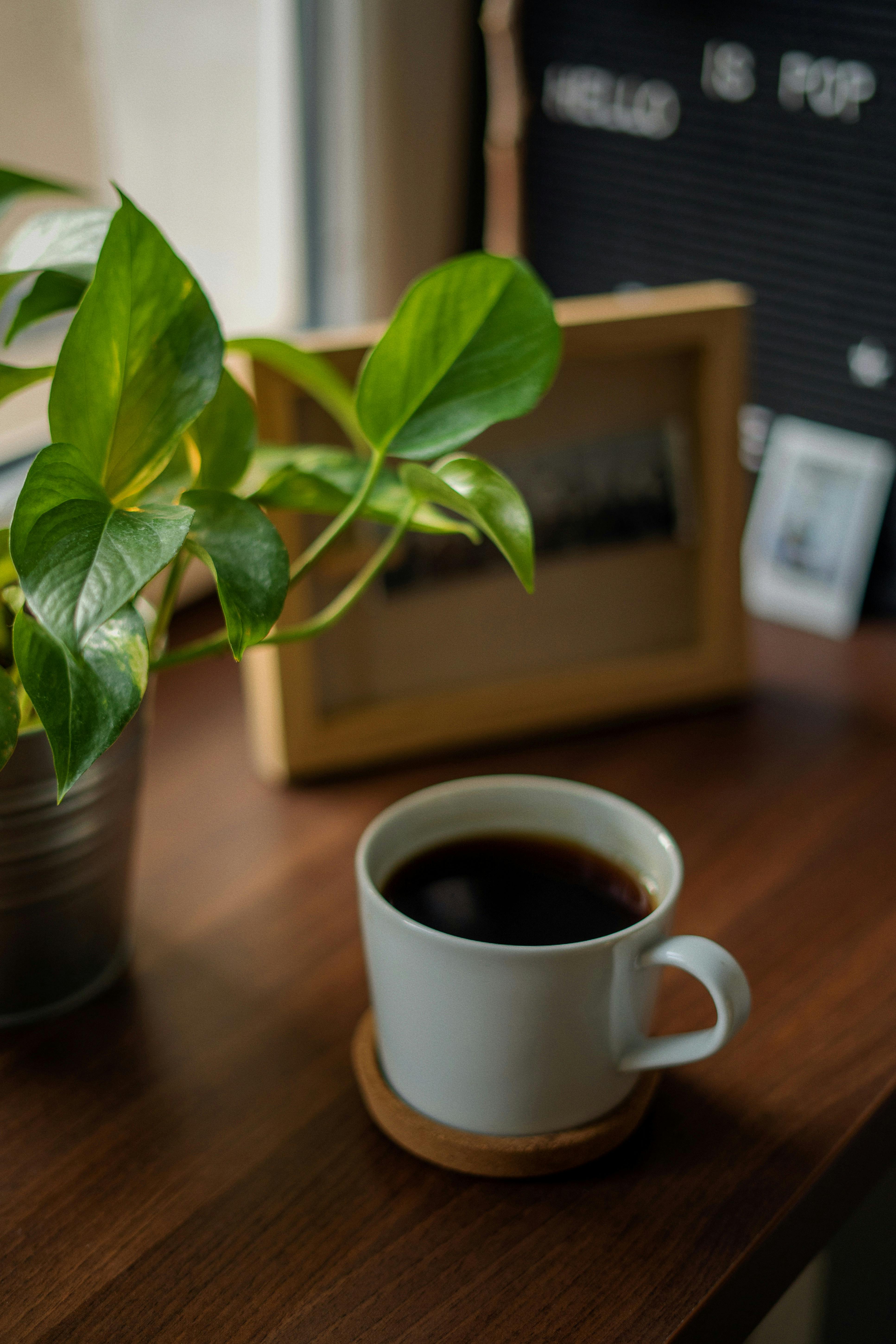 Who should not drink cranberry?