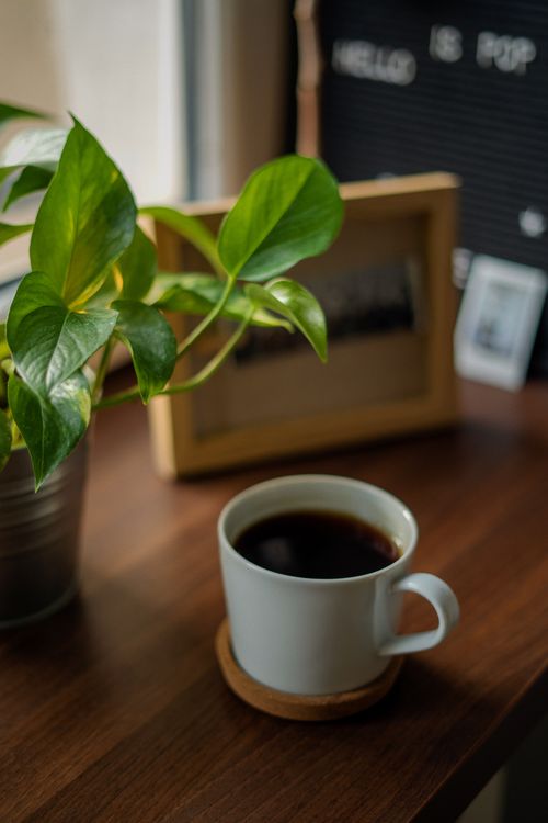 Free A warm, inviting scene with black coffee in a cup next to a devil's ivy on a wooden table. Stock Photo