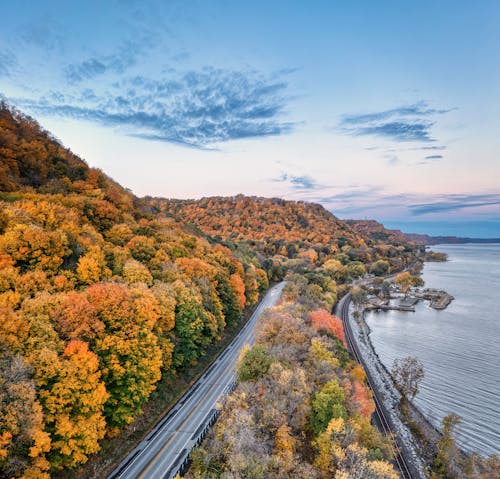 Road Among Woods on Seashore