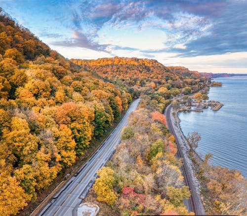 Asphalt Road in Between Autumn Trees 