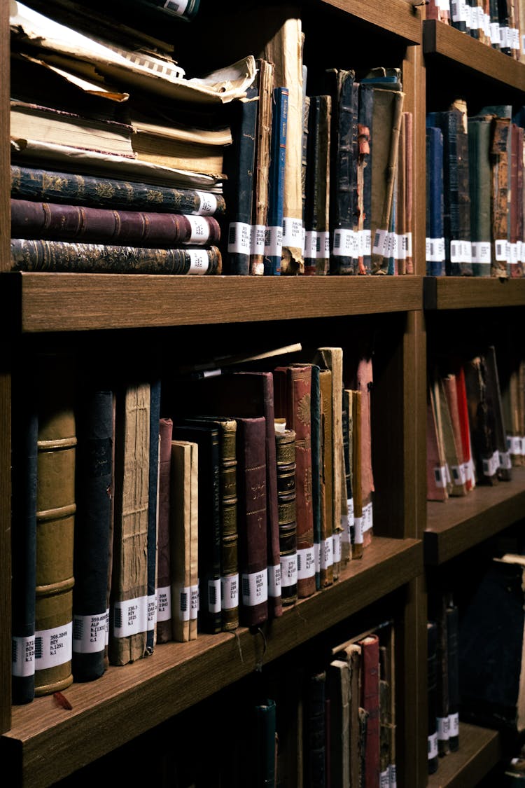 Books At The Library 