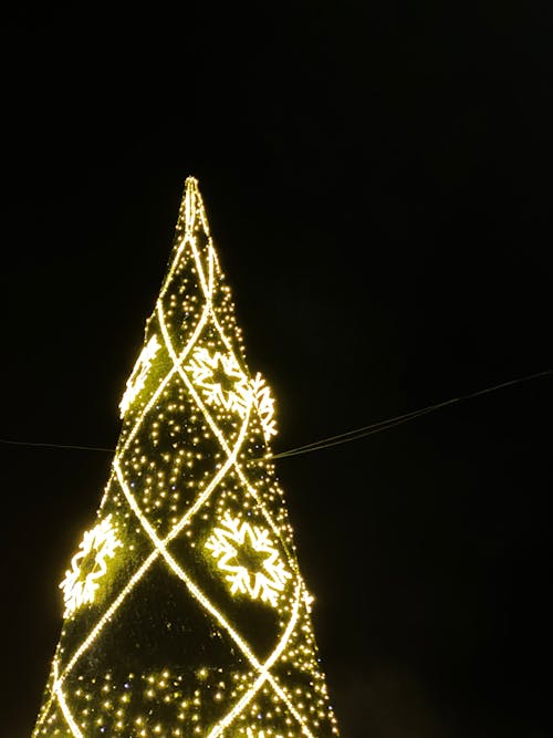 Christmas Tree with Lights Under Dark Sky