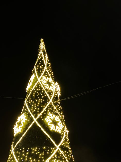 Christmas Tree with Lights Under Dark Sky · Free Stock Photo